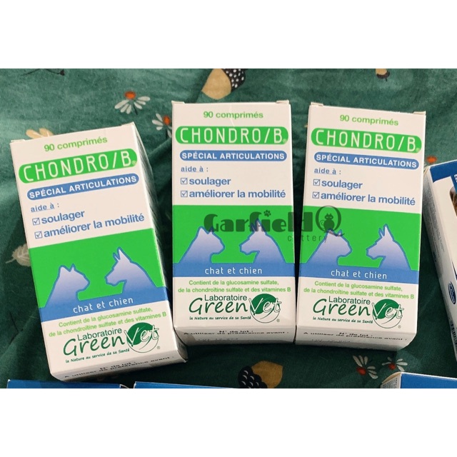 Glucosamine & Chondro B cho chó mèo Greenvet