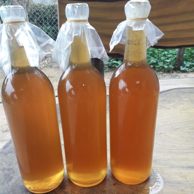 Mật ong rừng nguyên chất 100%
