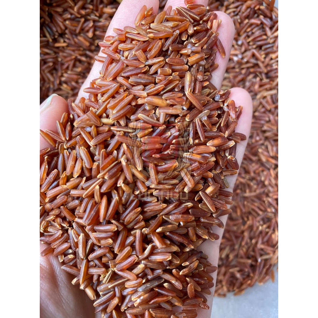 500g Gạo Lứt Huyết Rồng Campuchia Hữu Cơ Cao Cấp