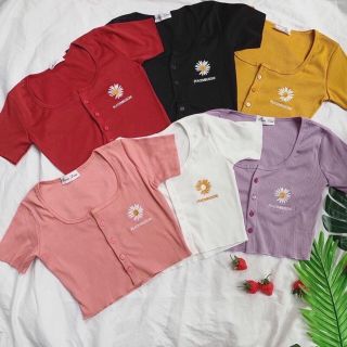 Áo thun gân crop top hoa cúc trắng