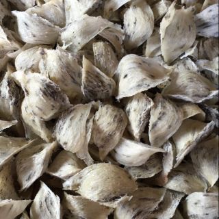 Yến sào Gò Công 50gr - 6 tai yến thô