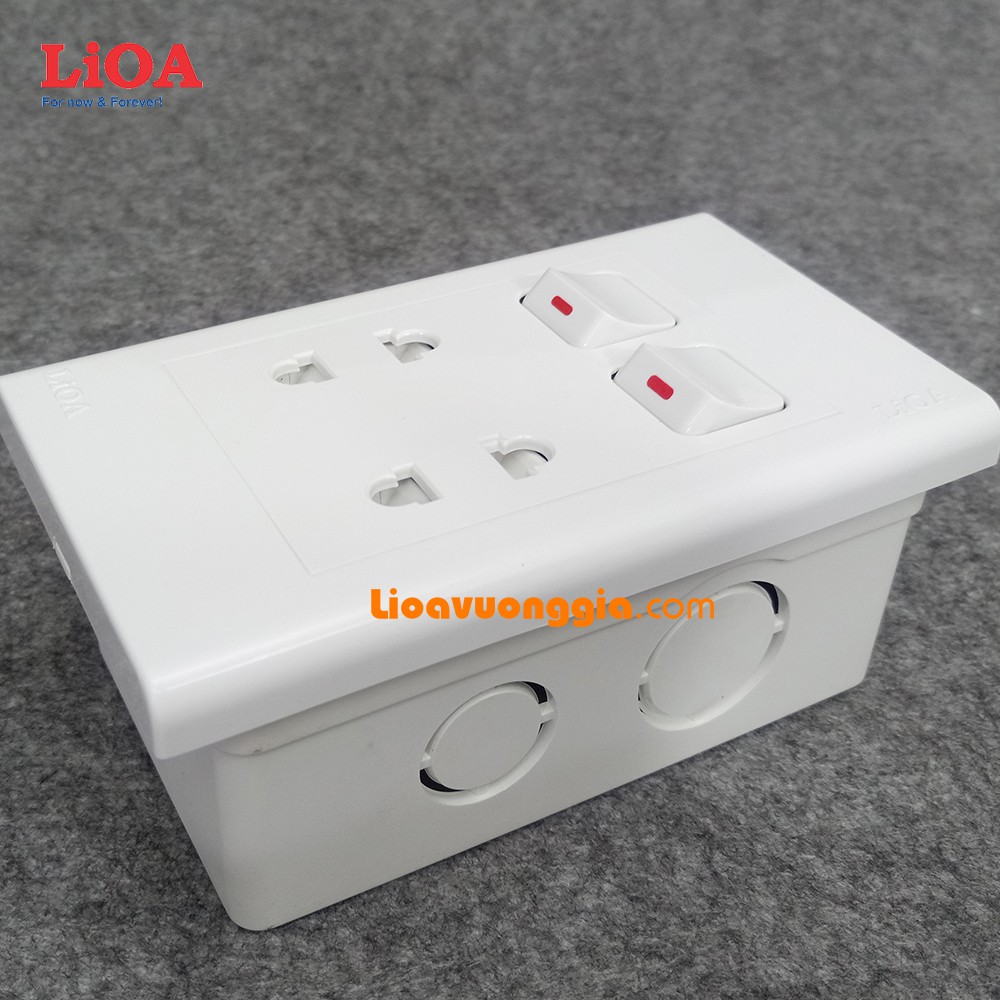 Combo ổ cắm điện đôi 2 chấu 16A 3520W + 2 công tắc điện LiOA - Âm tường