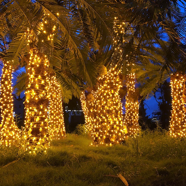 DÂY LED NHÁY KIM CƯƠNG TRANG TRÍ CUỐN CÂY NGOÀI TRỜI DỊP LỄ TẾT, NOEL