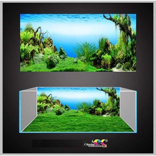 Tranh 3D dán bể cá