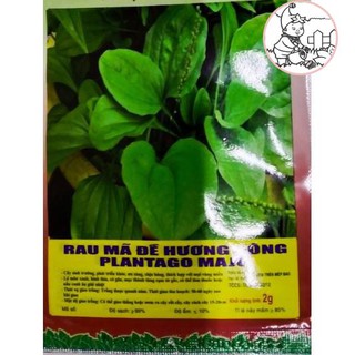 HẠT RAU MÃ ĐỀ - GÓI 2 GRAM