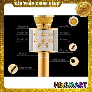 Micro hát Karaoke Kèm Loa WS-858