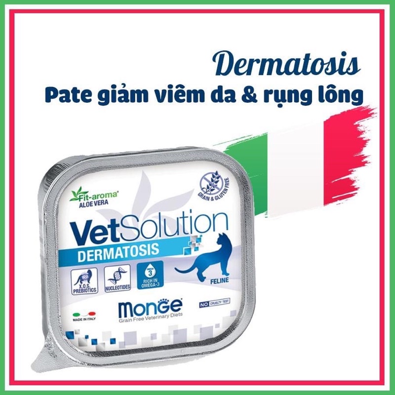 Pate hỗ trợ phục hồi Monge Vet Solution dành cho Mèo - Monge Vet Solution for Cats