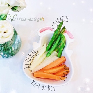 BÁT THÌA ĂN DẶM THỎ CÀ RỐT CHO BÉ YÊU