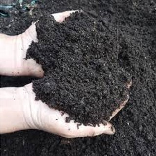 1KG phân gà vi sinh, phân gà Ủ HOAI MỤC ĐÃ xử lý NẤM KHUẨN, phân gà hữu cơ SẠCH-SIÊU PHÂN CHO HOA HỒNG VÀ TẤT CẢ CÁC LOẠ