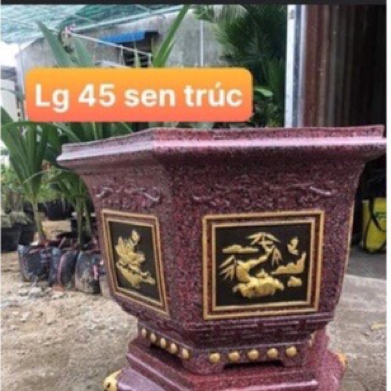 Khuôn đúc chậu lục giác 45