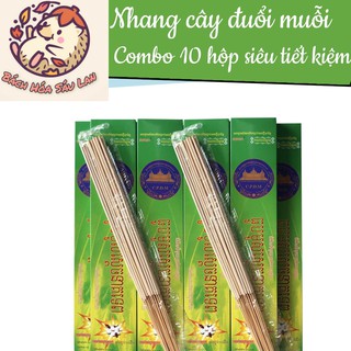 10 Hộp nhang muỗi cây Thái Lan Chính hãng loại 1