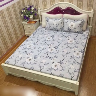 SET GA CHUN VÀ 2 VỎ GỐI