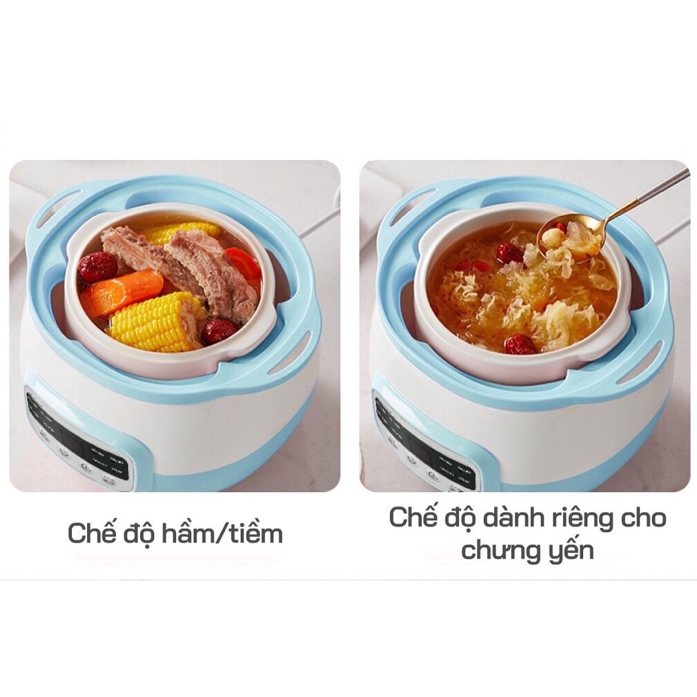 Nồi Nấu Chậm, Nồi Chưng Yến Cách Thủy Bennix BN100A ( Dung Tích 1L)