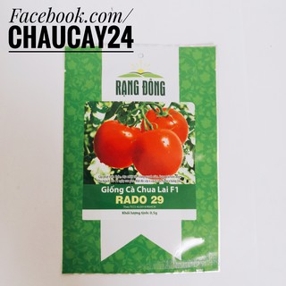 2 Gói Hạt Giống Cà Chua Dễ Trồng, Mọng Nước