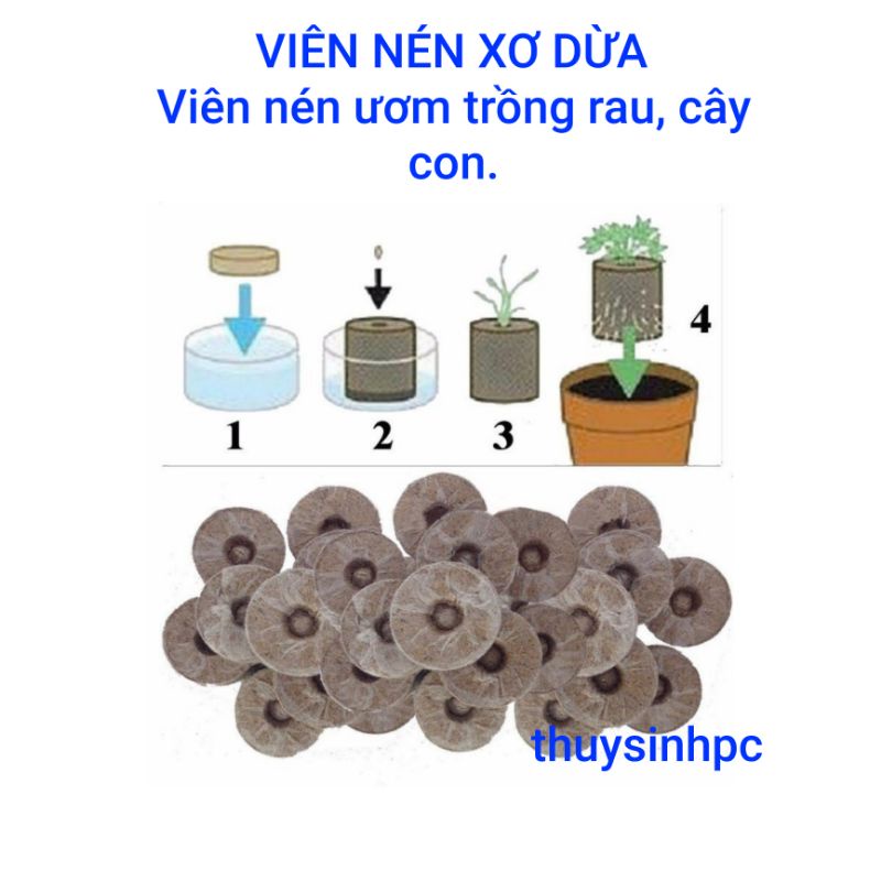 Viên nén xơ dừa ươm hạt giống cây cảnh, rau, củ quả (1 viên)