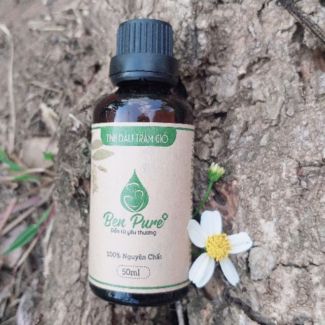 Tinh dầu Tràm Gió 10ml tới  50ml