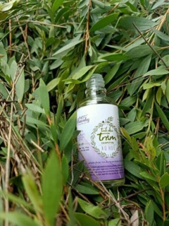 Tinh dầu tràm Hiểu Nhy