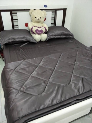 Bộ ga phi lụa 5 món 1m6 (hình tự chụp 100%)