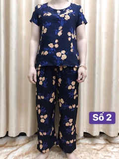 Bộ lanh dài trung niên