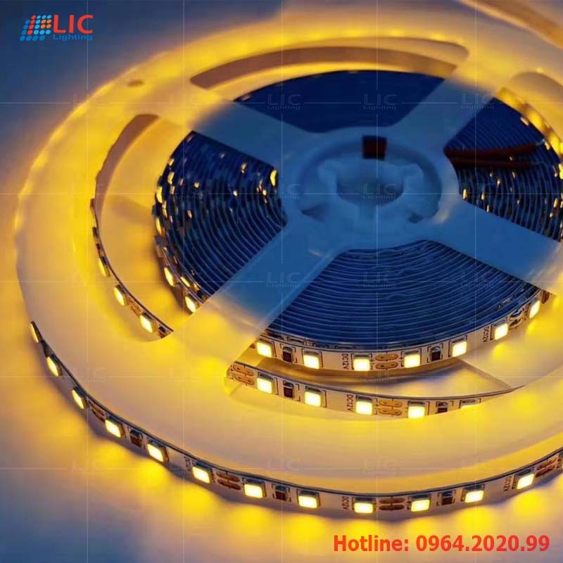 LED dây 12v vàng nắng cuộn 5 mét
