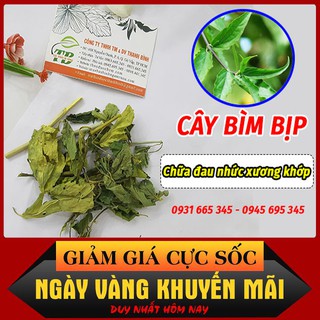 Cây Bìm Bịp (Cây Xương Khỉ)  - Công Ty Thanh Bình