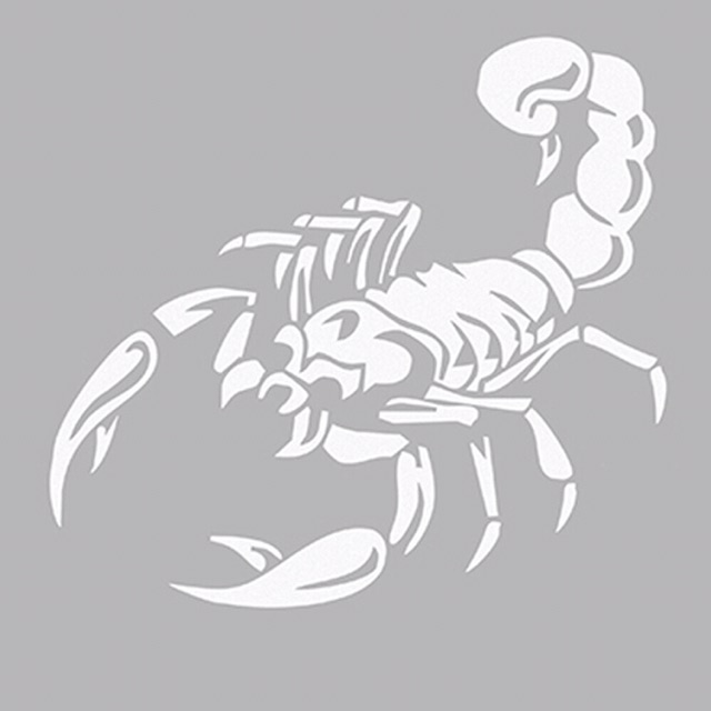 Decal trang trí xe hơi