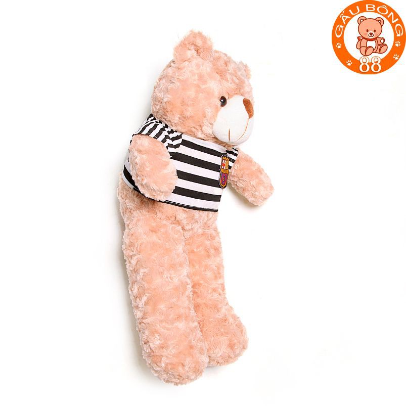 Gấu bông teddy cao cấp size 60cm màu vani