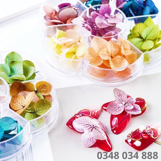 Hoa khô lụa cánh to ẩn móng nail trang trí móng