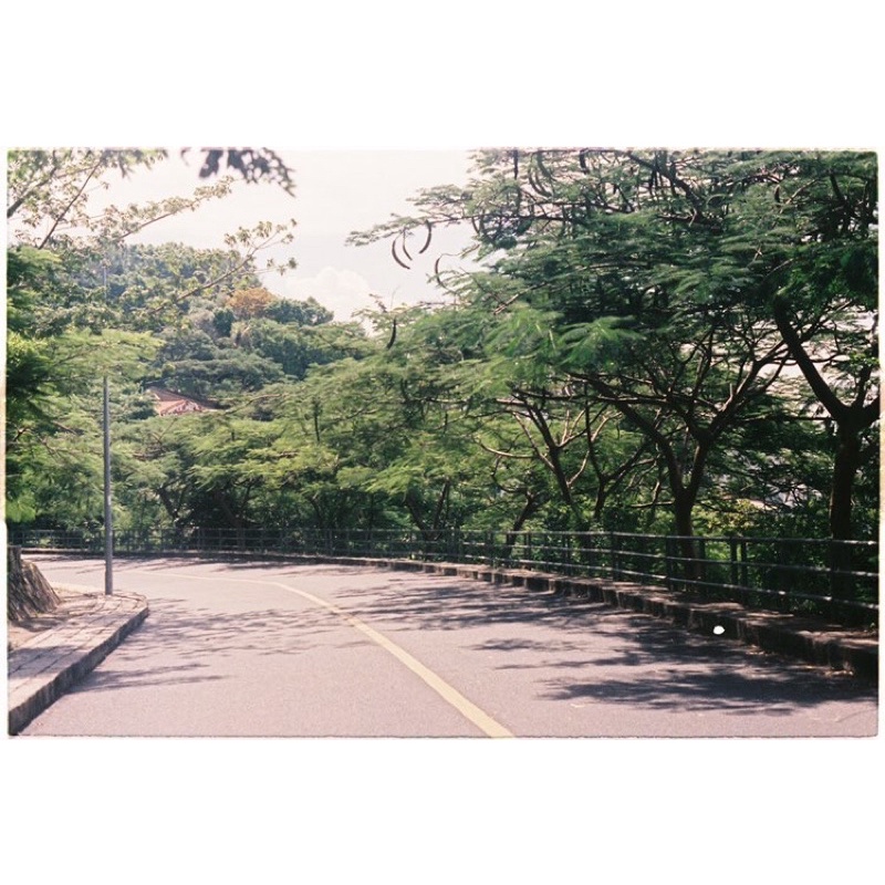 - Film 135  giá rẻ, 24 kiểu, hàng US