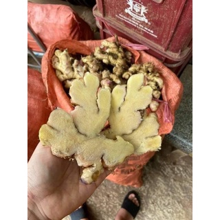 Gừng già quê - Gừng tươi cay thơm ngon túi 500g