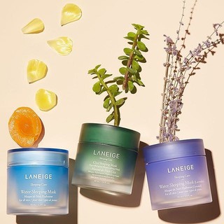 Mặt nạ ngủ mini Laneige Cica Sleeping Mask, Water Sleeping Mask