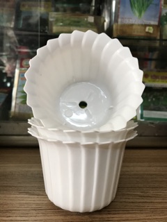 Chậu nhựa tròn xếp
