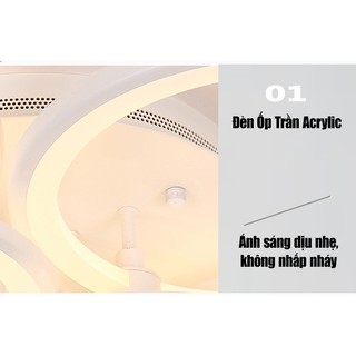 Đèn Ốp Trần Trang Trí  4 Cánh Mẫu V4