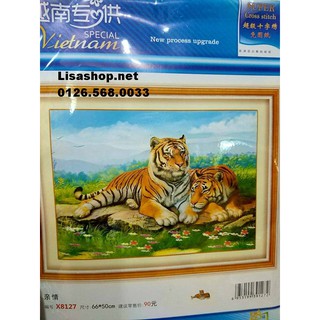 Tranh thêu CON HỔ X8127 (66x50cm) chưa thêu