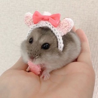 NÓN CHUỘT TIỂU THƯ CHO HAMSTER, CHUỘT, BỌ Ú...