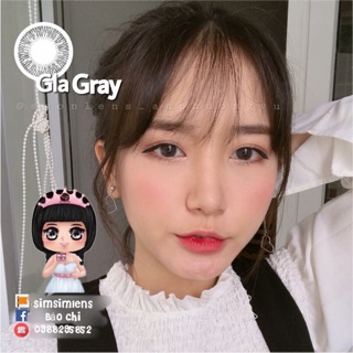 Lens Vassen Xám trong - kính áp tròng Hàn Quốc