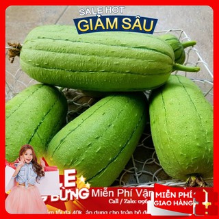 Hạt giống mướp đài loan - 10 hạt / gói
