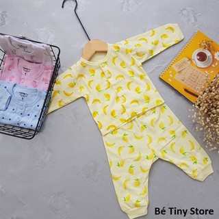 Bộ sơ sinh cotton Carter Xuân Hè dài tay quần đáp đũng cho bé 2.7-5.7kg