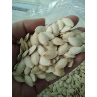 Hạt bí trắng Hà Giang (hạt to, đều, mẩy)