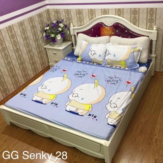 GA CHUN VÀ VỎ GỐI POLY COTTONG