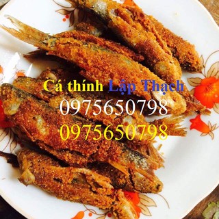 Cá Mương sông thính (cá thính Lập Thạch, tỉnh Vĩnh Phúc)