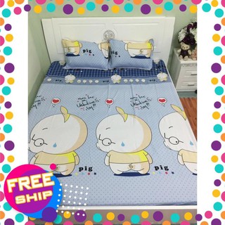  BỘ DRAP COTTON POLY CON HEO