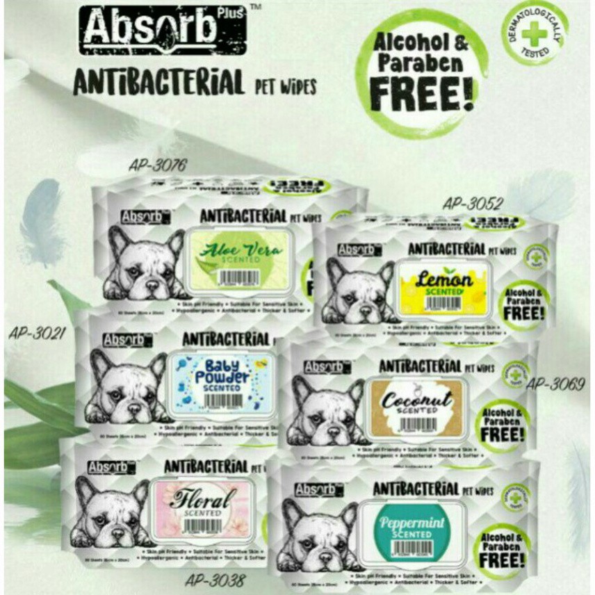 Khăn ướt giấy cho chó Kit cat kháng khuẩn antibac pet wipe, đồ dùng vệ sinh cho cún Con Mèo Xiêm