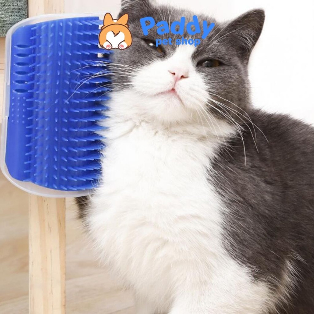 Lược Cố Định Cho Mèo Tự Chải Lông Chứa Cỏ Mèo