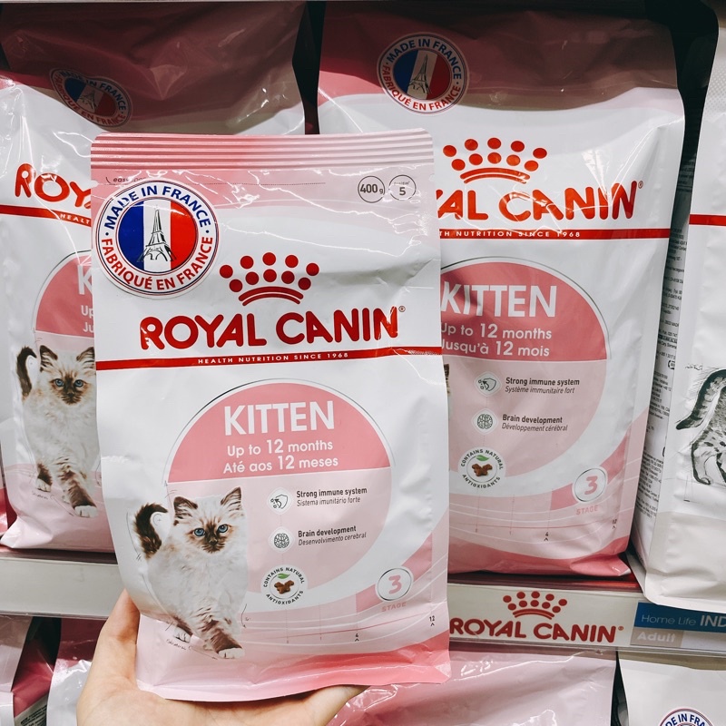 Royal Canin thức ăn hạt cho mèo con Kitten 2kg / 10kg, Pate