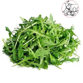 Hạt xà lách rocket - gói 2 gram