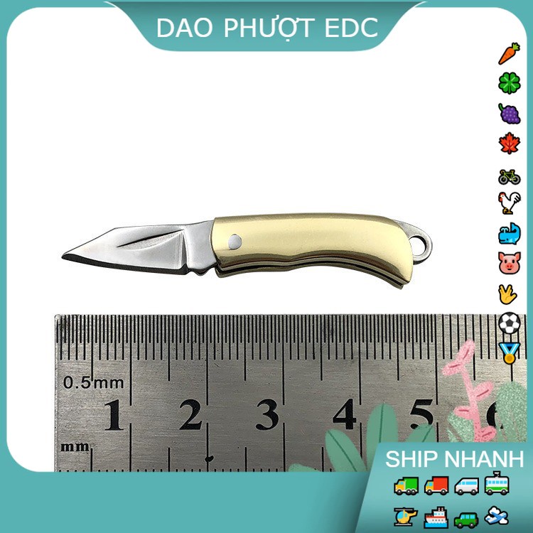 Dao Nhỏ Trơn INOX - Lưỡi Dao Săc Bén Cắt Trái Cây