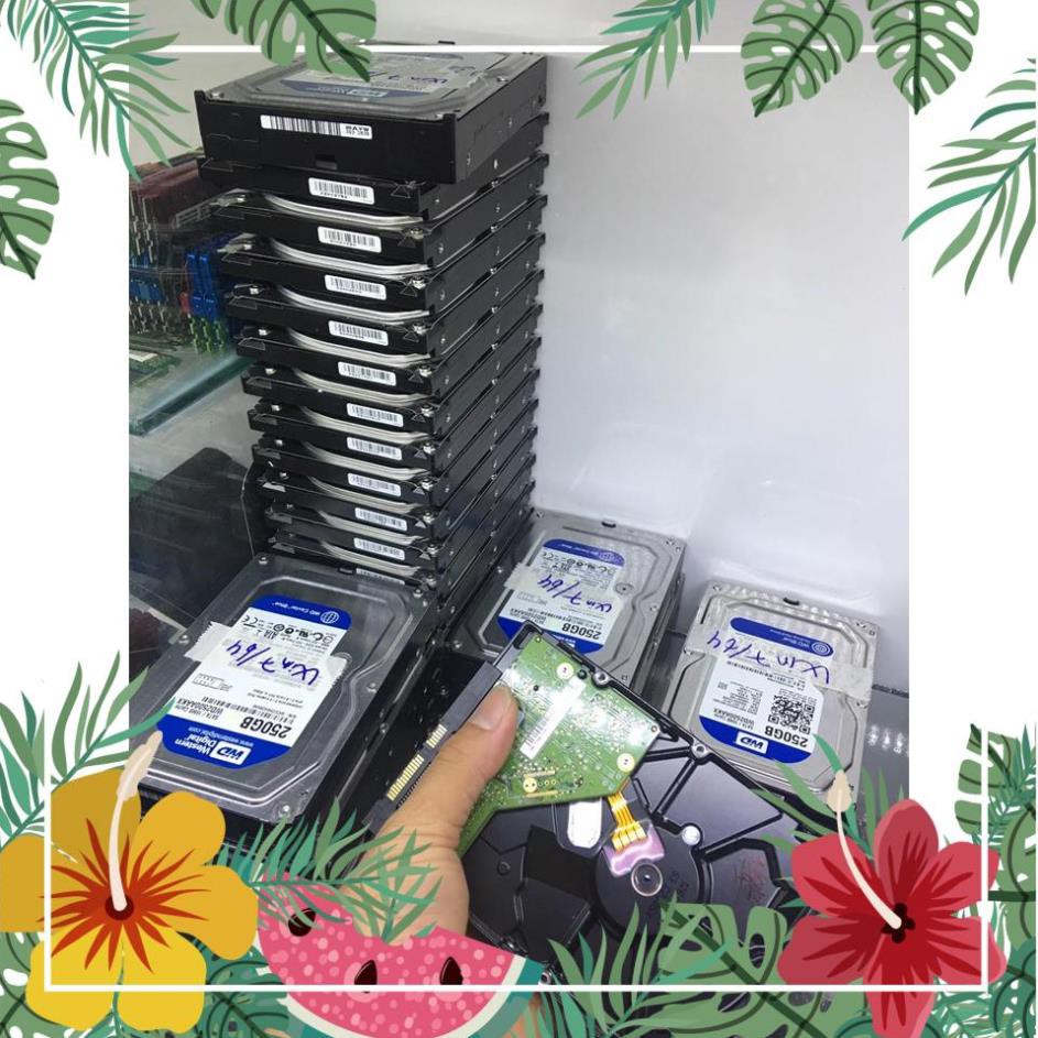 HDD 500G Seagate cài sẵn Win 7 64bit bảo hành 03 tháng | BigBuy360 - bigbuy360.vn
