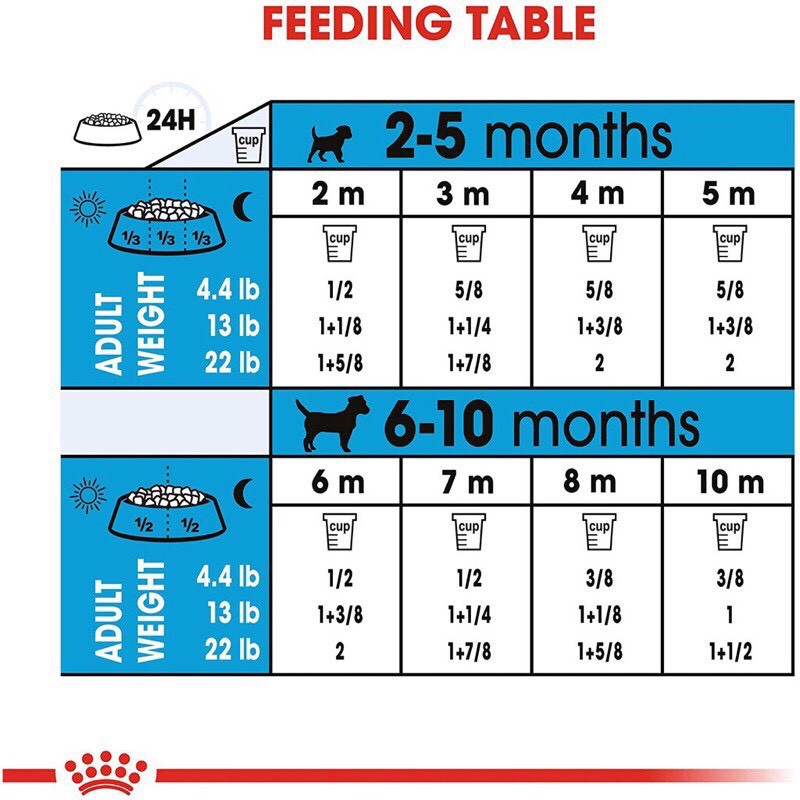 Hạt Royal Canin Mini Puppy &amp; Adult 2kg ⚡CHỈ 1 NGÀY⚡ - Thức Ăn Cho Giống Chó Nhỏ từ 4-10kg - PET&amp;JOI