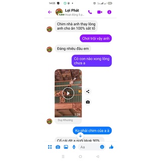 kích đỏ cho chào mào